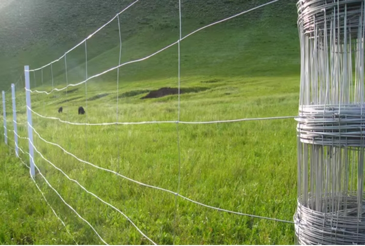 MetInfo enterprise content manager system | MetInfo CMS