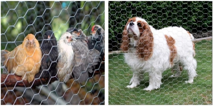 MetInfo enterprise content manager system | MetInfo CMS