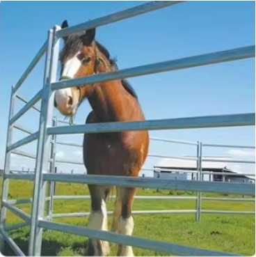 MetInfo enterprise content manager system | MetInfo CMS