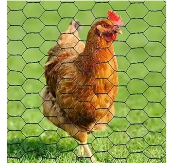 Chicken Mesh