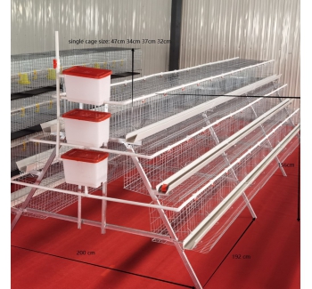 Chicken Cages