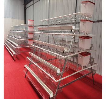 4-Tiers Hen Cages