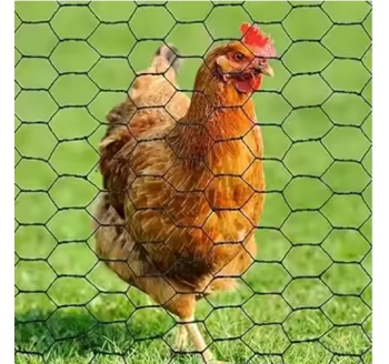 Chicken Mesh