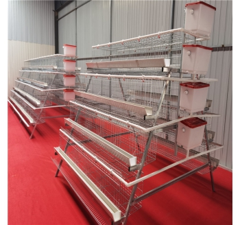 4-Tiers Hen Cages