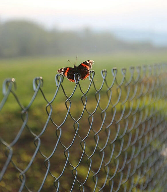 Outdoor Decorative PVC Coated Chain Link Fence