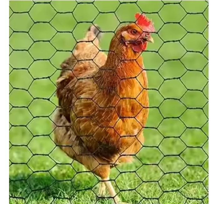 Chicken Mesh